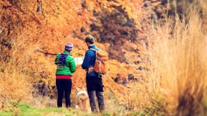 Couple hiking in autumn forest vintage